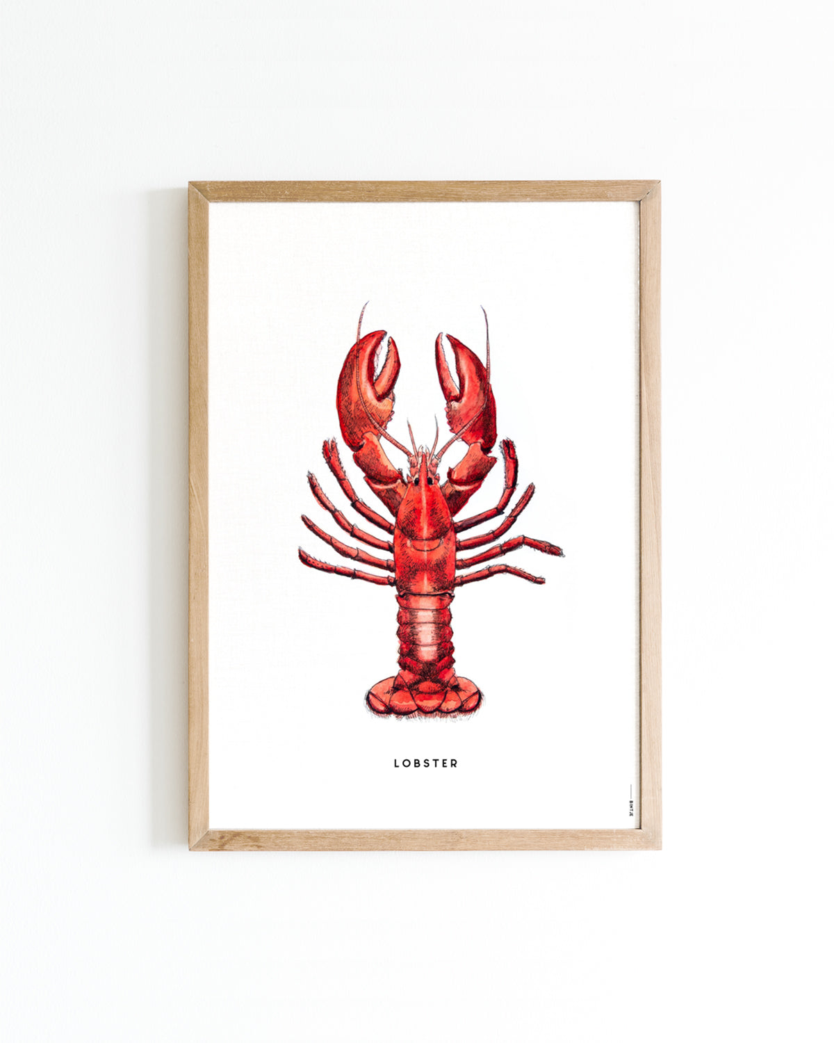 Poster 15x20 Keuken: Kreeft