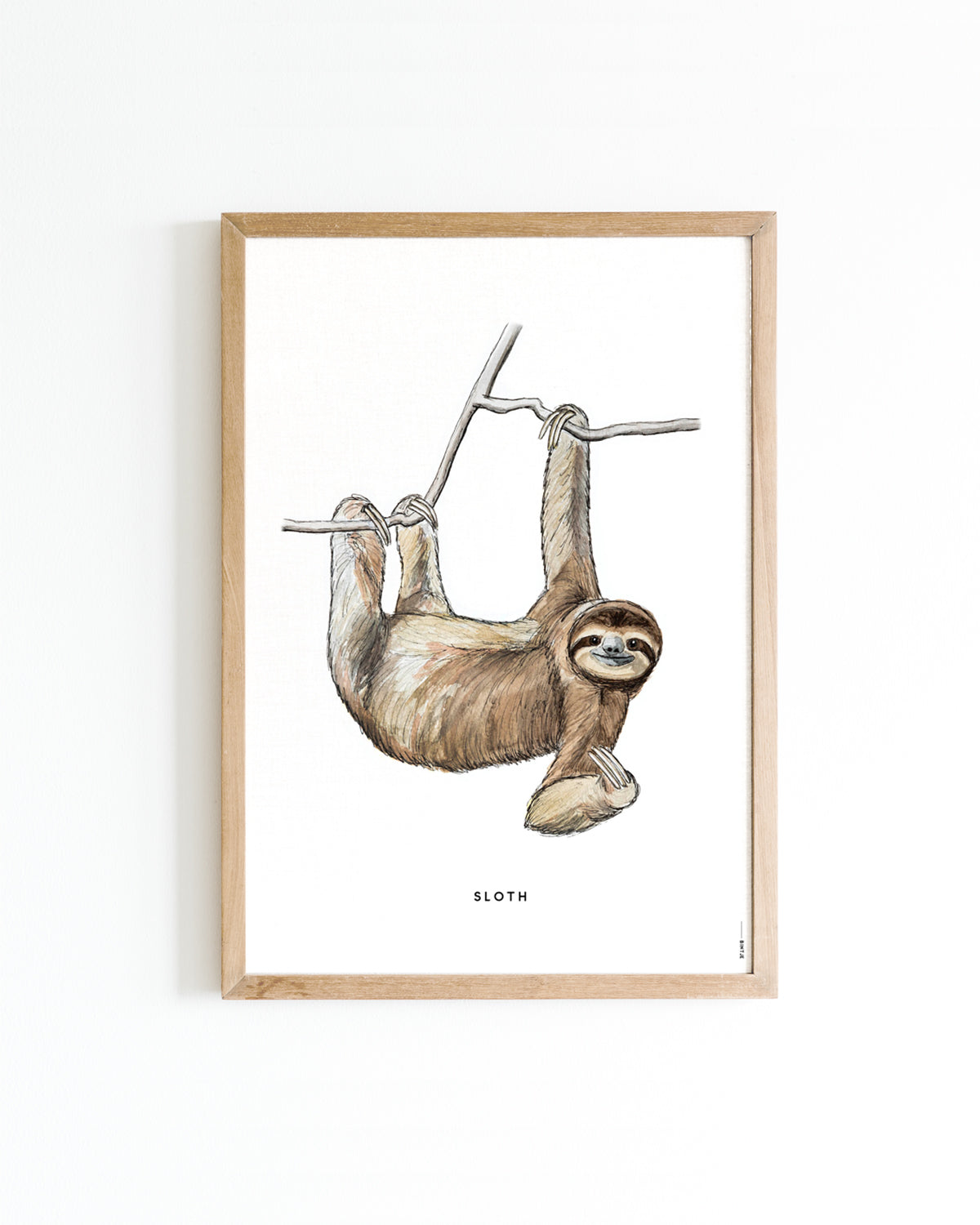 Poster A4 Luiaard