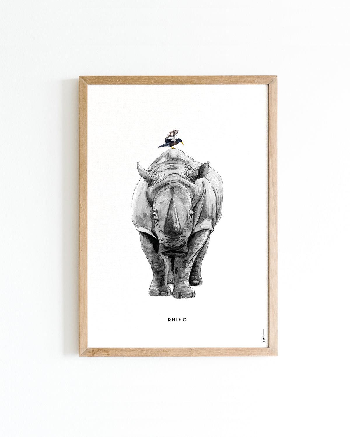 Poster 30x40 Neushoorn