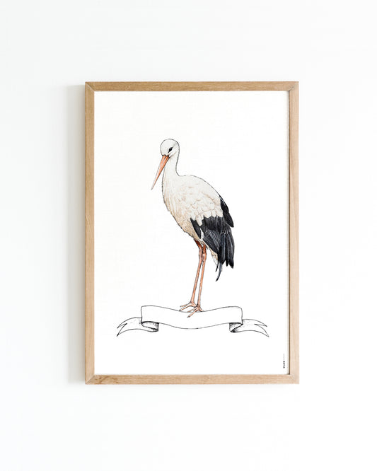 Poster 50x70 Ooievaar