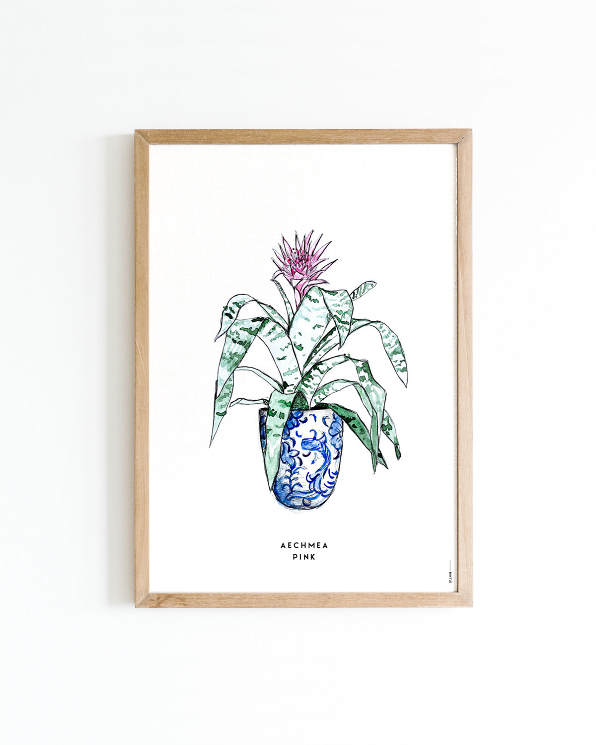 Poster A4 Plant Aechmea Pink