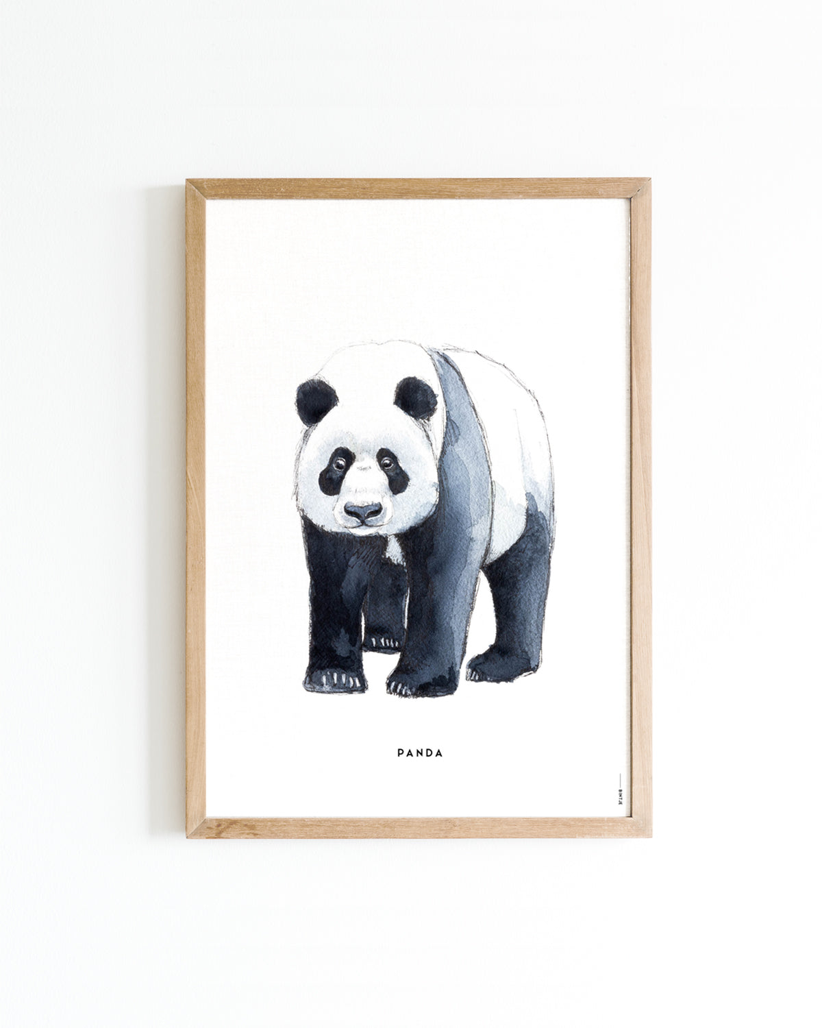 Poster 50x70 Panda