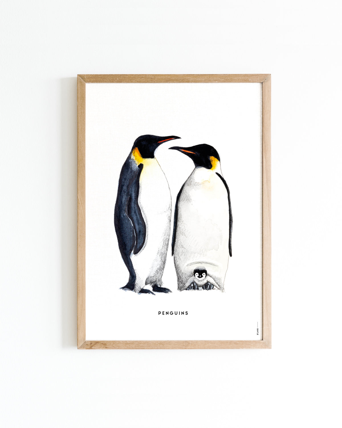 Poster 50x70 Pinguins