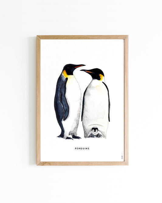 Poster 50x70 Pinguins