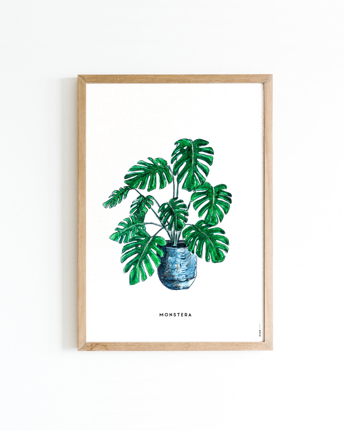 Poster A4 Plant Monstera