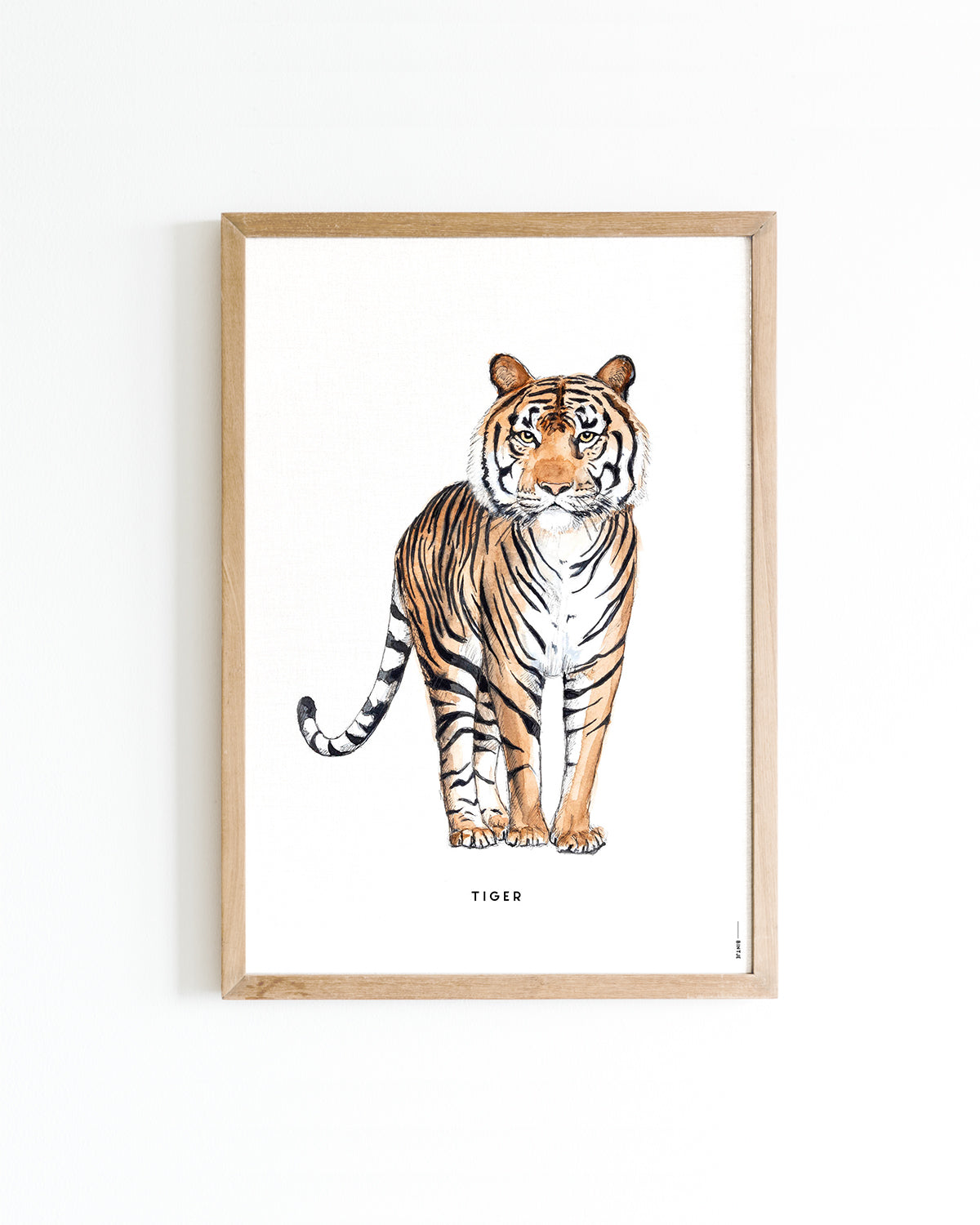Poster 30x40 Tijger