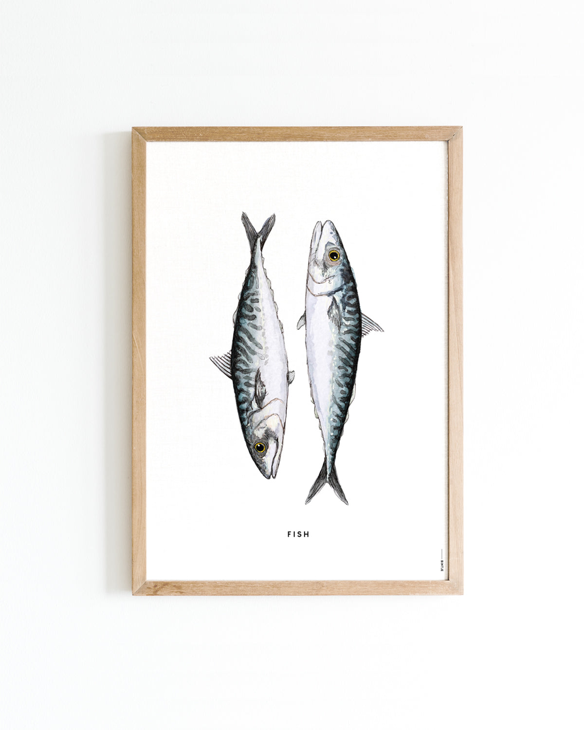 Poster 30x40 Vissen