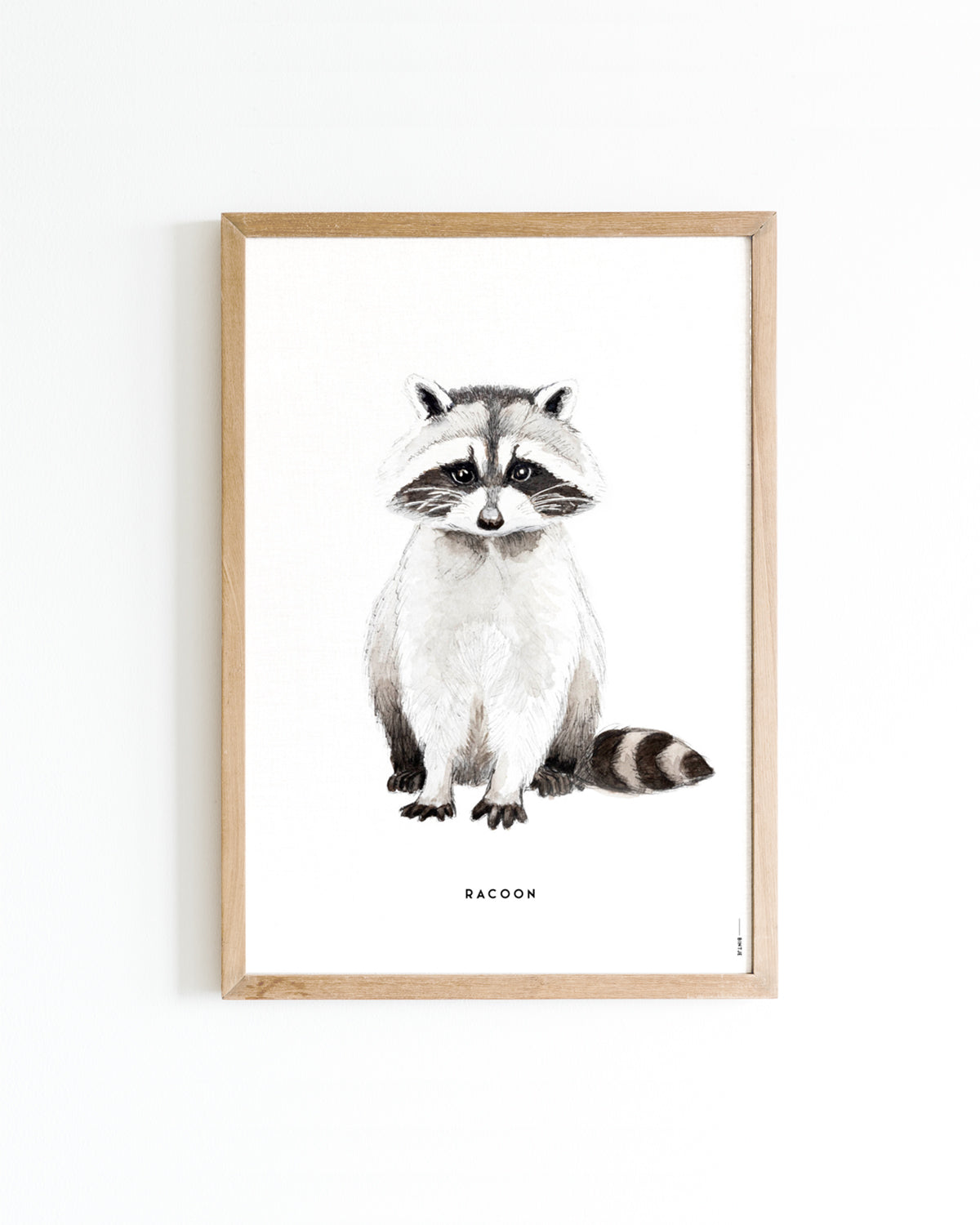 Poster 30x40 Wasbeer