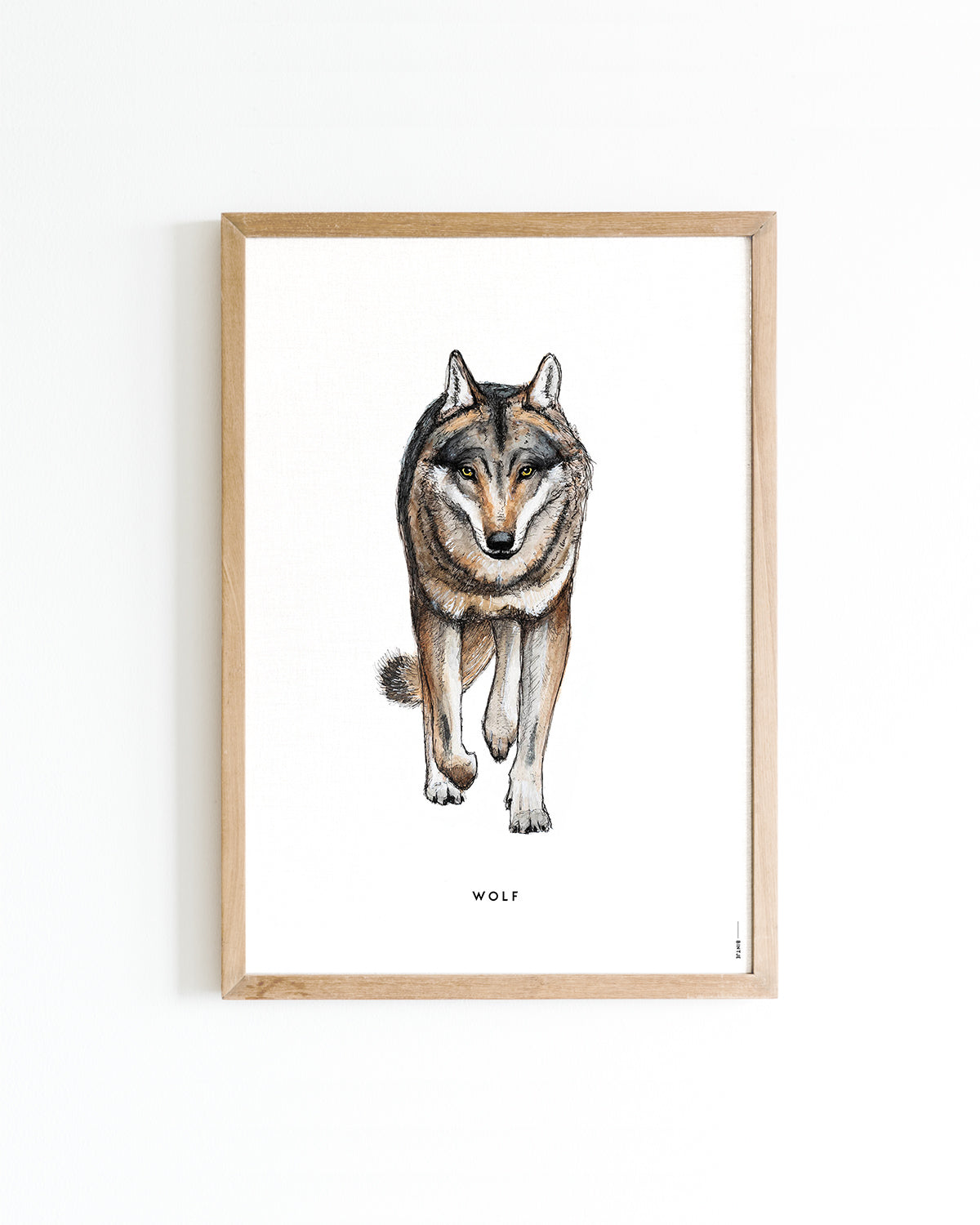 Poster 15x20 Wolf