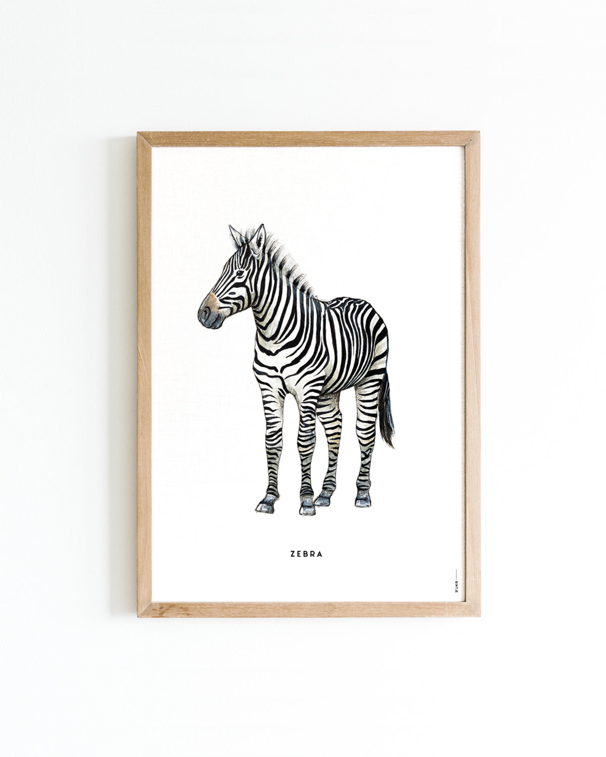 Poster 30x40 Zebra