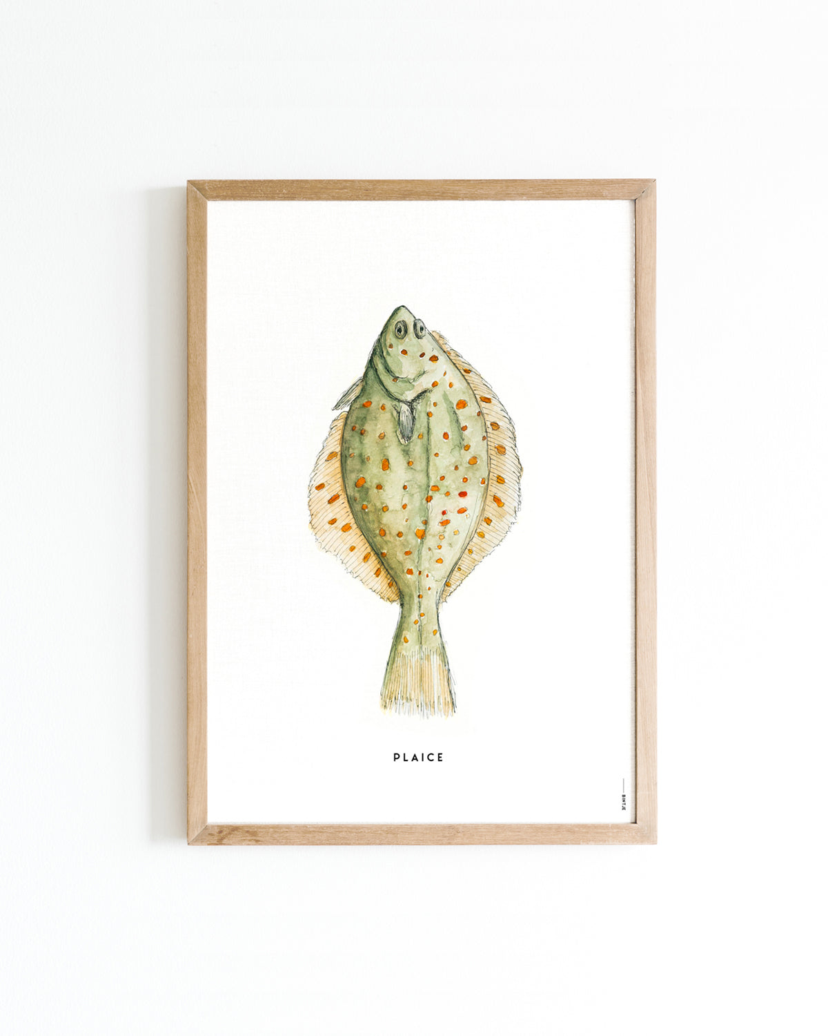 Poster A4 Keuken: Schol