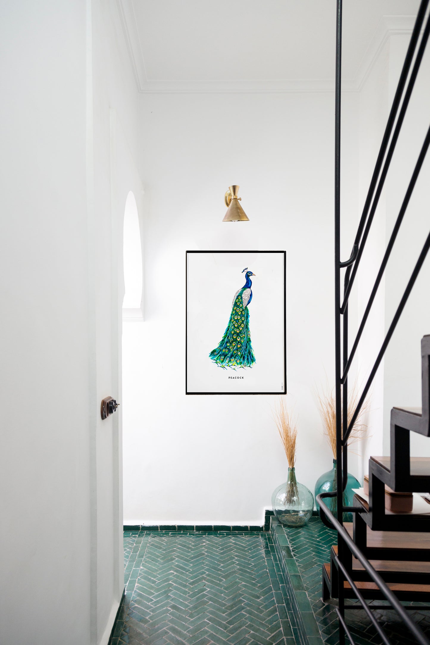 Poster 30x40 Pauw