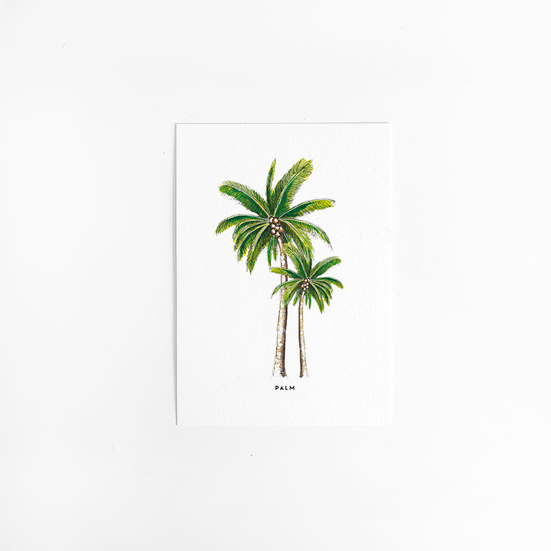 Wenskaart Planten: Palmen