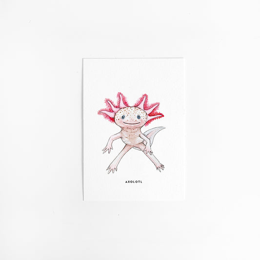 Wenskaart Axolotl