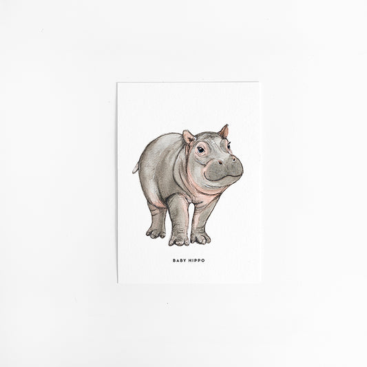 Wenskaart Baby Nijlpaard