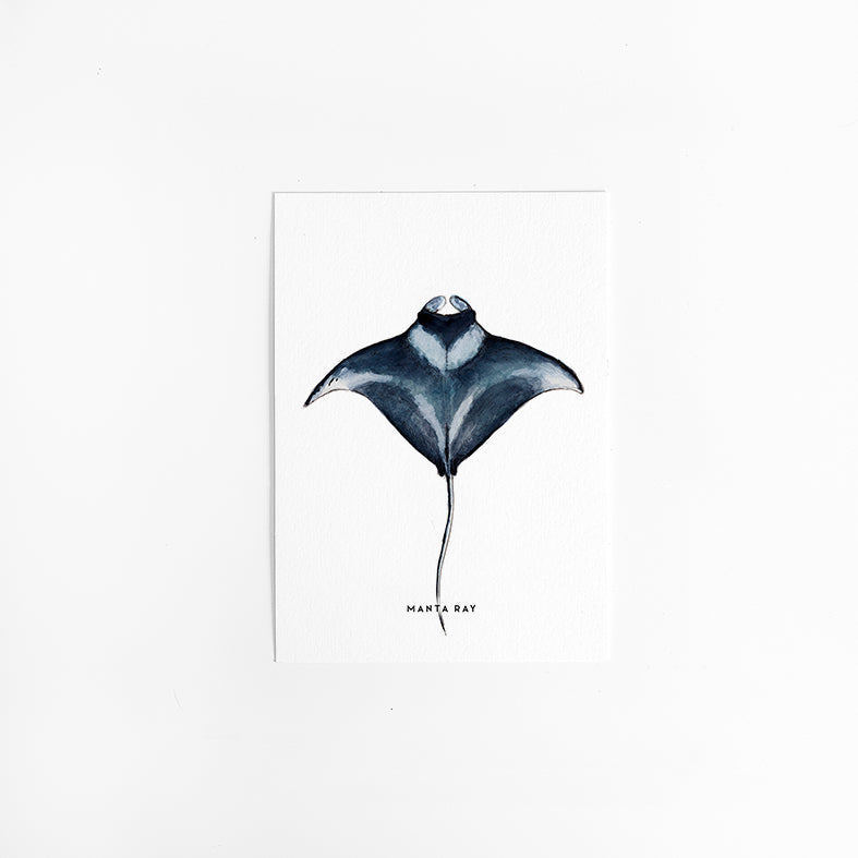 Wenskaart Manta
