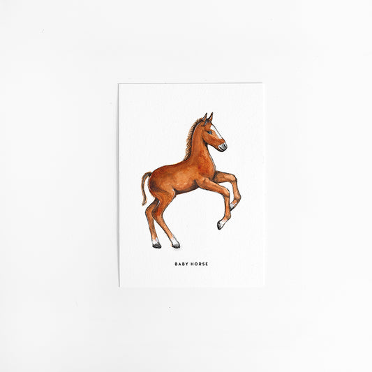 Wenskaart Paard veulen