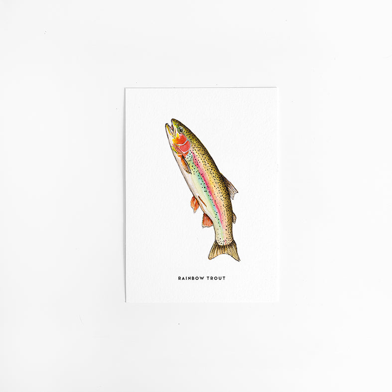 Wenskaart Dieren: Regenboogforel