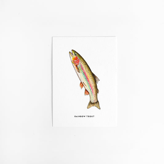 Wenskaart Dieren: Regenboogforel