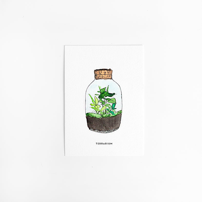 Wenskaart Planten: Terrarium