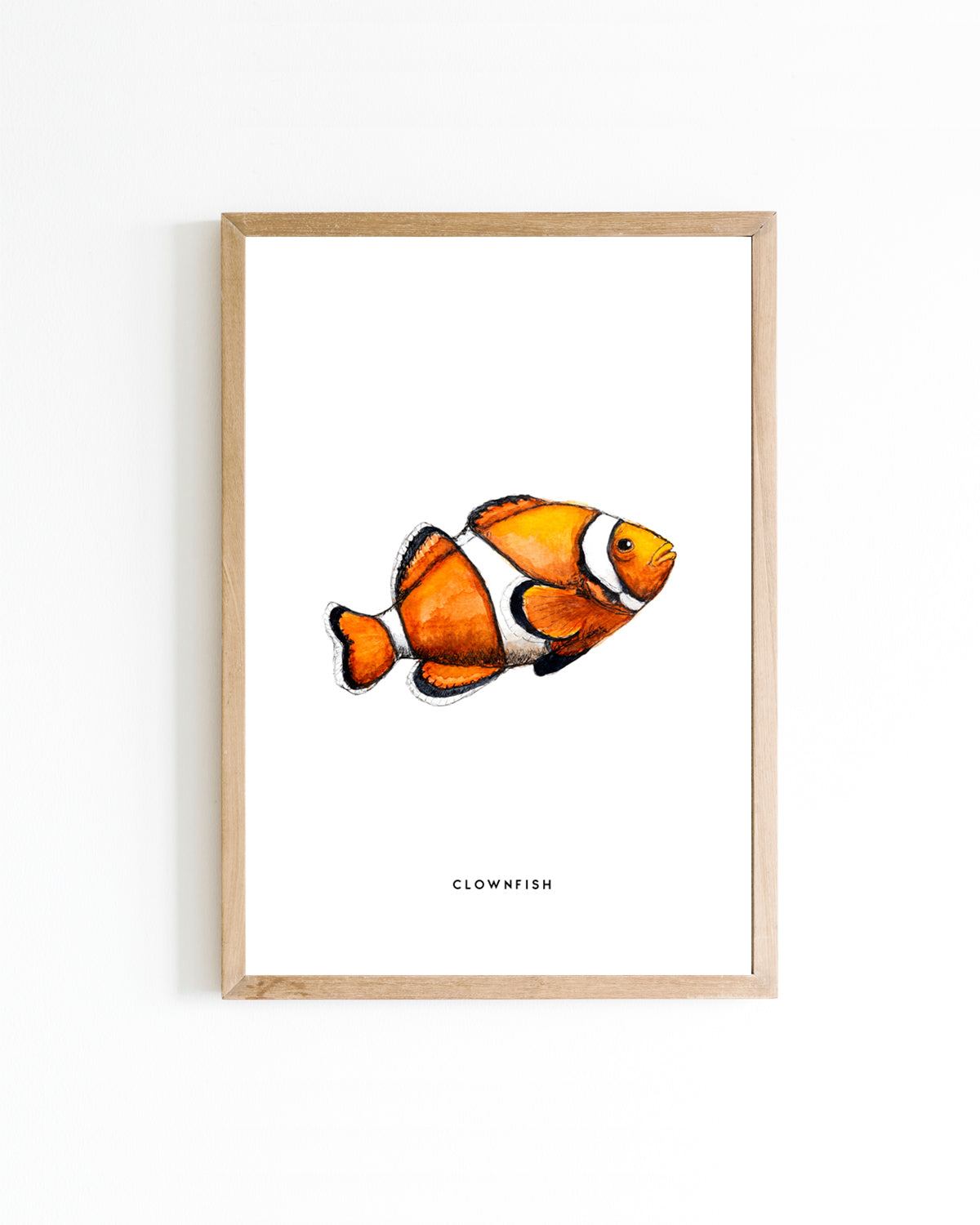Poster 15x20 Dieren: Clownsvis