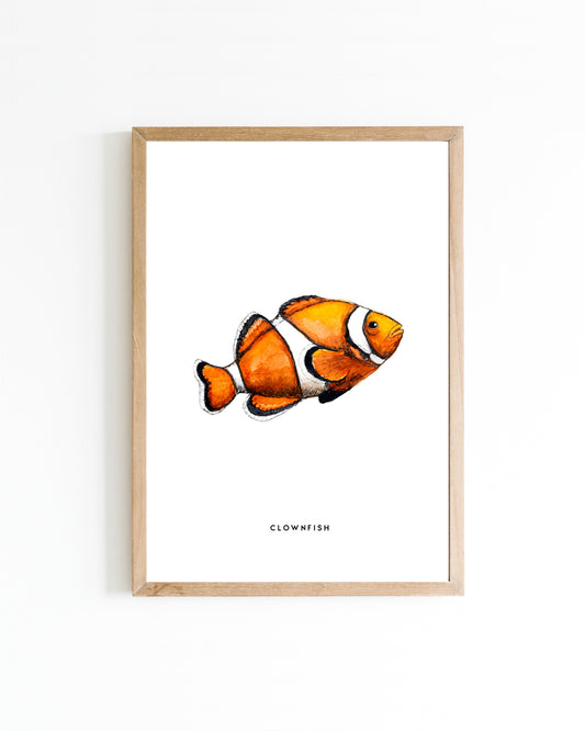 Poster 15x20 Dieren: Clownsvis