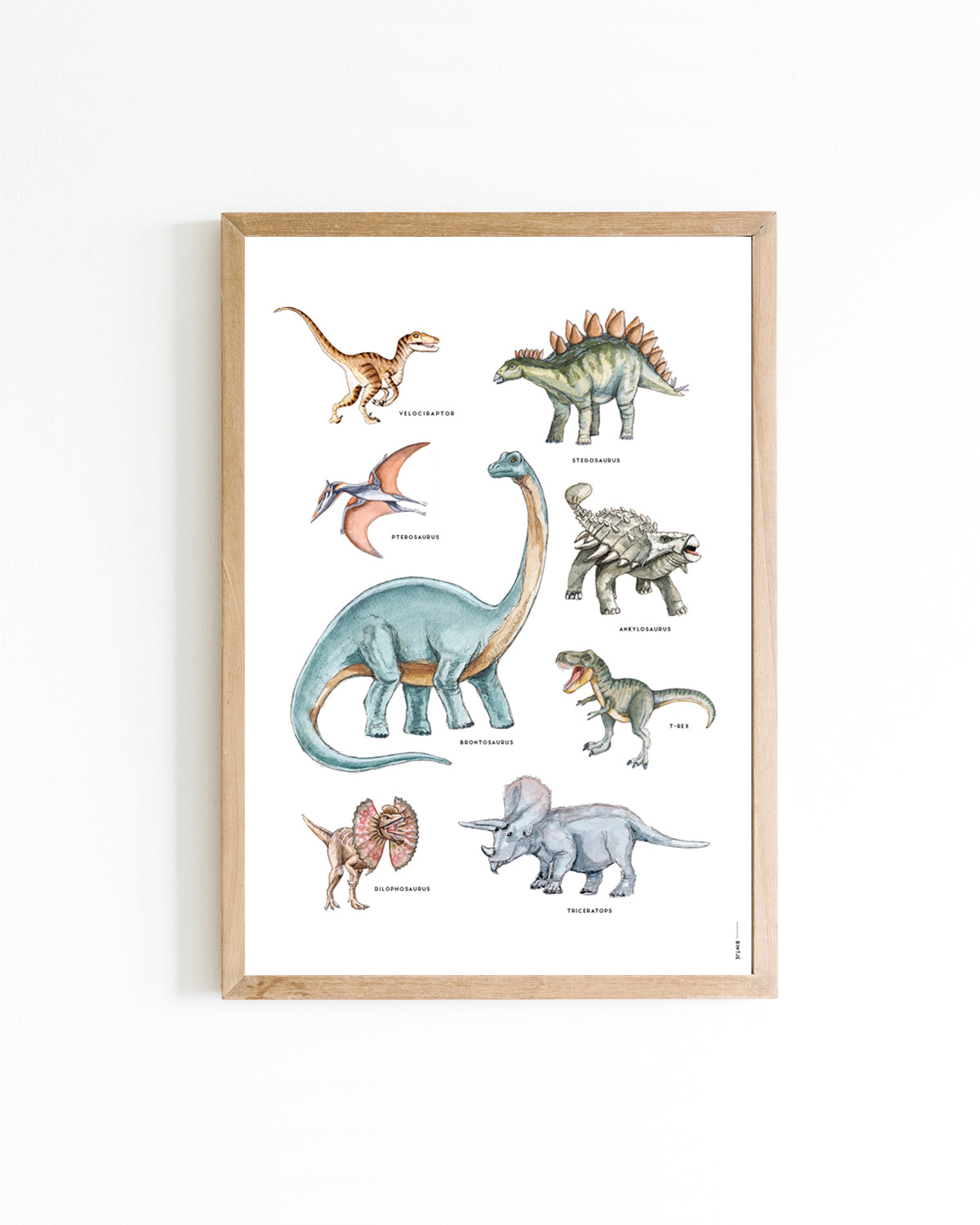Poster 30x40 Dino's