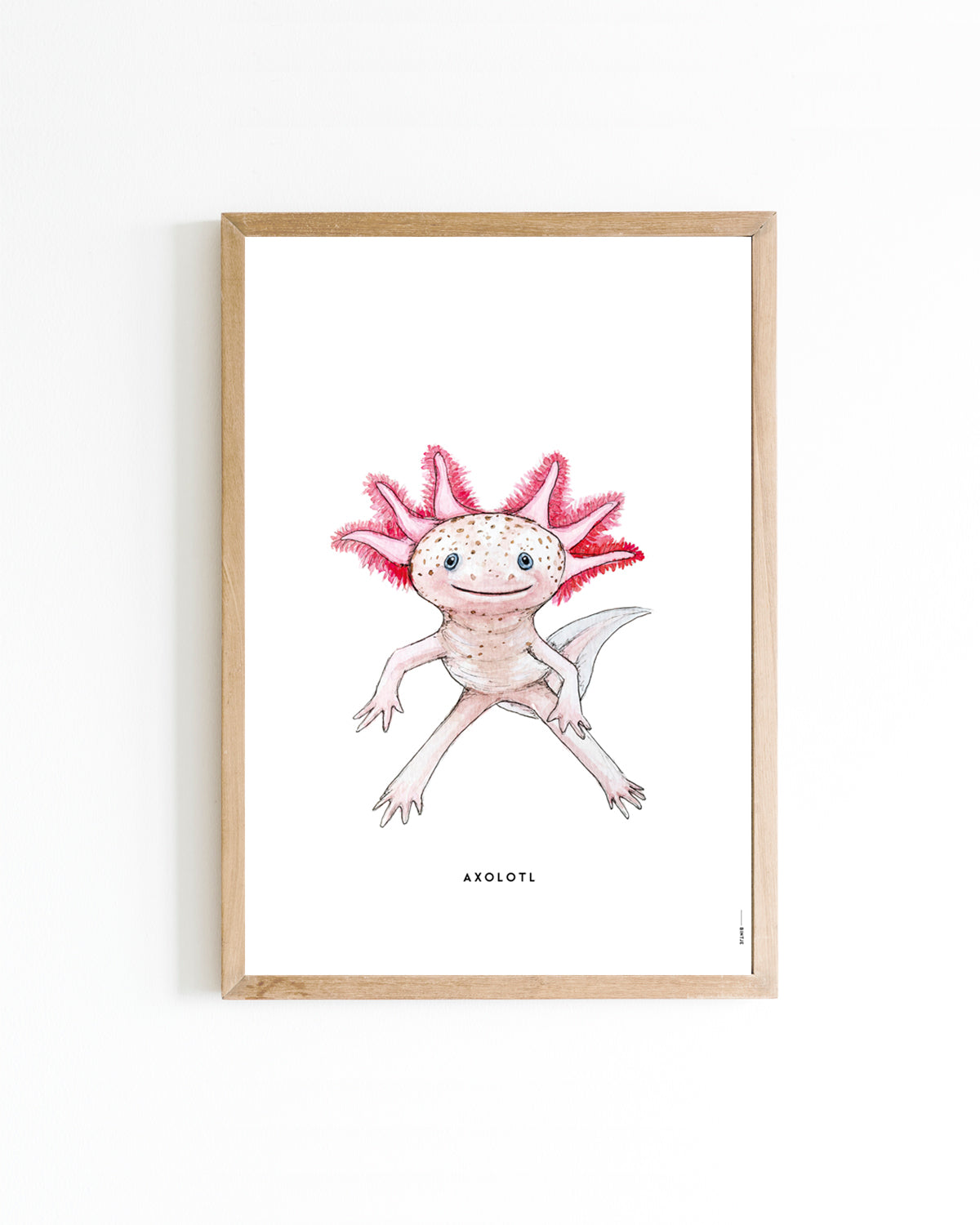 Poster 15x20 Waterdieren: Axolotl