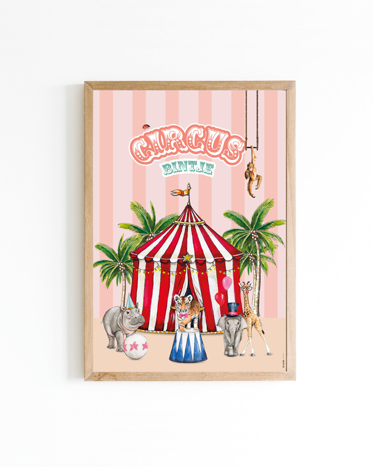 Poster 30x40 Circus