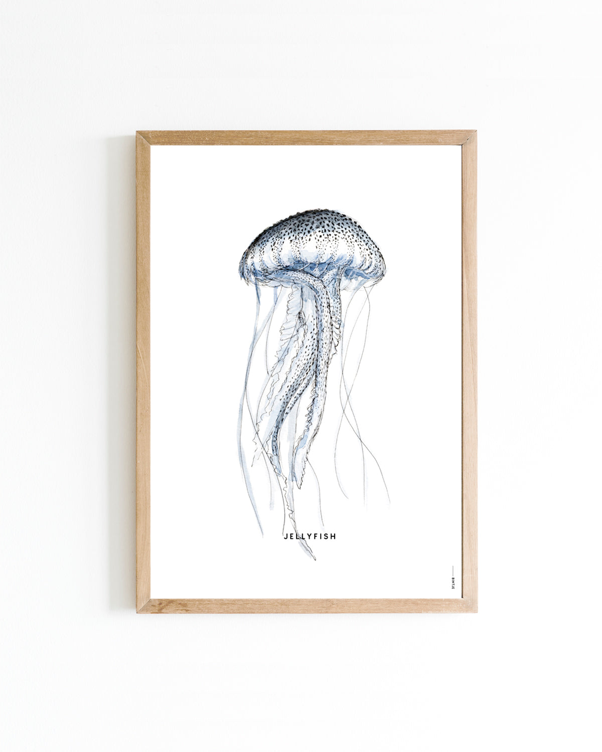 Poster 30x40 Kwal