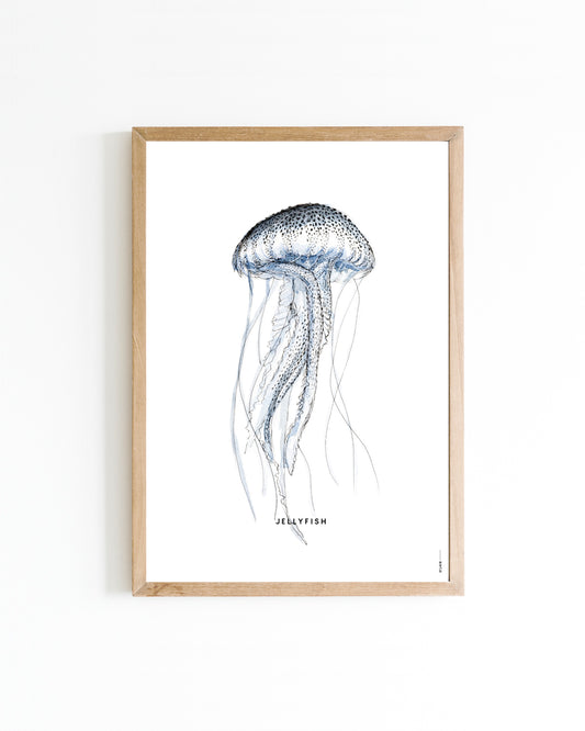 Poster 15x20 Dieren: Kwal