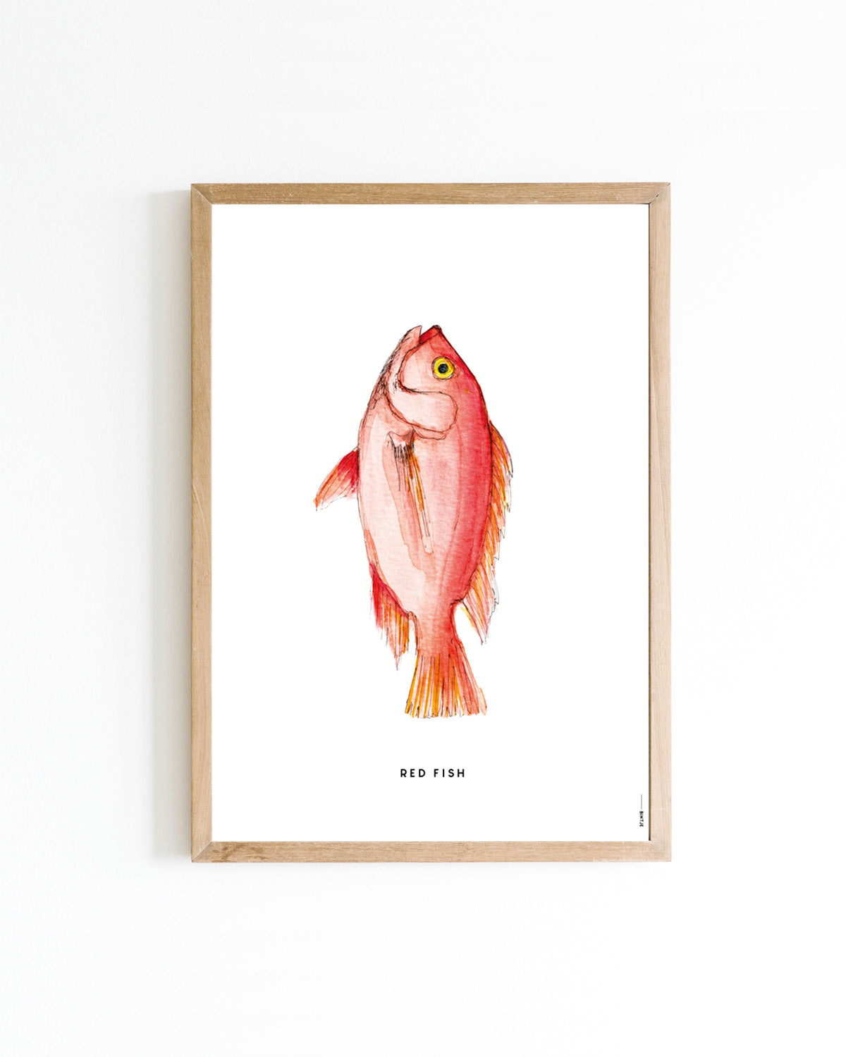 Poster A4 Keuken: Roodbaars