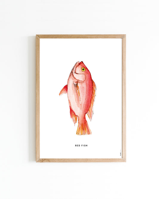 Poster A4 Keuken: Roodbaars