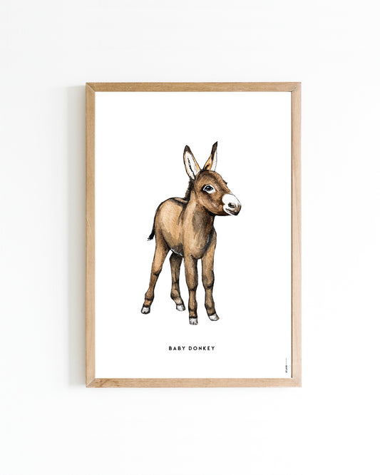 Poster A4 Boerderij: Ezeltje