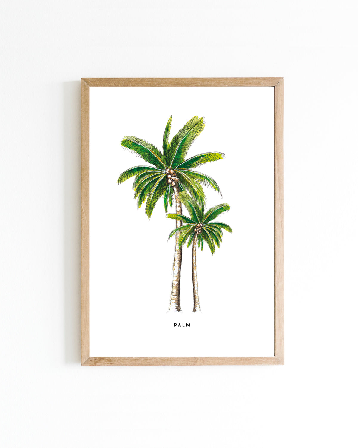 Poster 15x20 Landen: Palmen