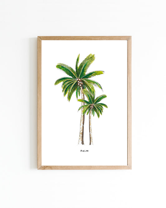 Poster 15x20 Landen: Palmen
