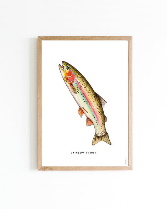 Poster A4 Keuken: Regenboogforel