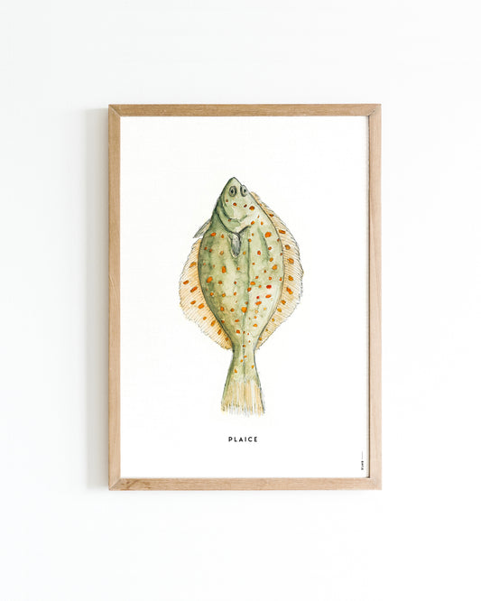 Poster 30x40 Schol