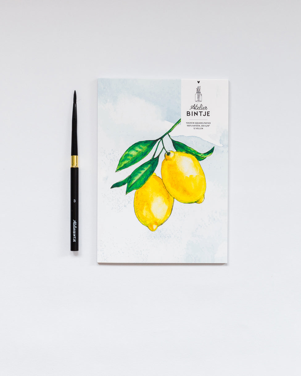 Bintje Atelier Aquarel papier